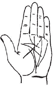 Теодор Шварц - Большая книга тайных знаний. Нумерология. Графология....