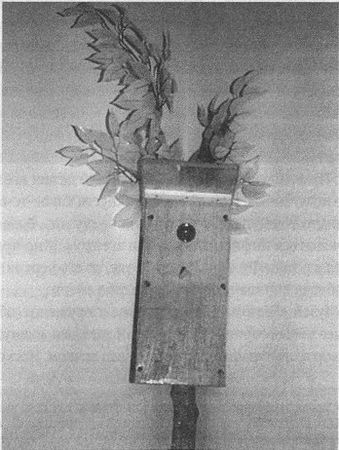 Дэвид Бирн - Весь мир: Записки велосипедиста