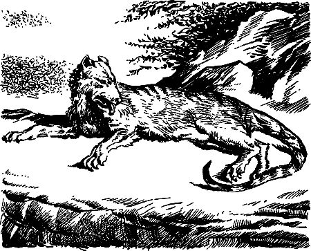 Димитр Ангелов, Йозеф Аугуста и др. - Исчезнувший мир