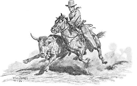 Анна Сьюэлл, Виль Джемс - Дымка. Черный Красавчик (сборник)