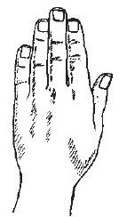 Теодор Шварц - Большая книга тайных знаний. Нумерология. Графология....