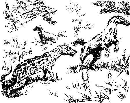 Димитр Ангелов, Йозеф Аугуста и др. - Исчезнувший мир