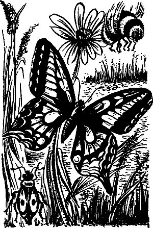 Димитр Ангелов, Йозеф Аугуста и др. - Исчезнувший мир