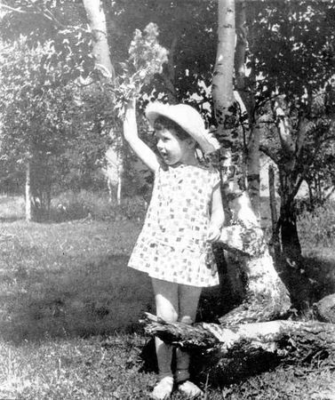 Леонид Фёдоров - Как просыпается Солнце