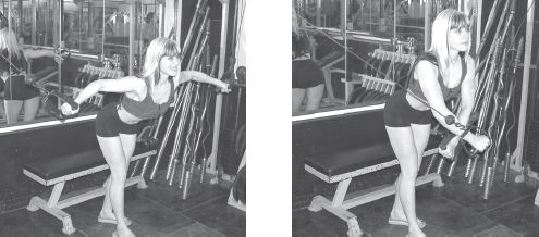 Инесса Шипилина, Игорь Самохин - Фитнес-спорт: учебник для студентов