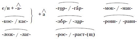 Грамотный человек: учебное пособие