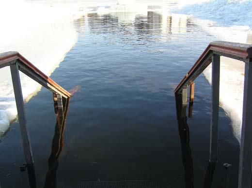 Андрей Кашкаров - Дачная энциклопедия опытных советов