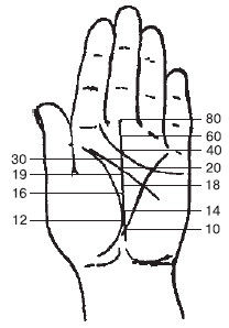 Теодор Шварц - Большая книга тайных знаний. Нумерология. Графология....