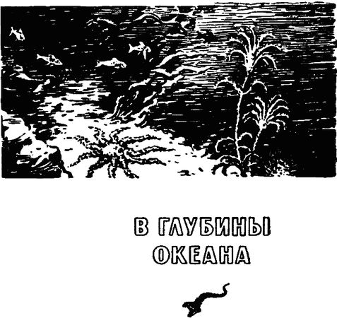 Борис Ляпунов - По следам Жюля Верна