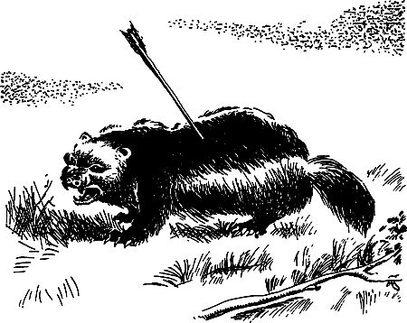 Димитр Ангелов, Йозеф Аугуста и др. - Исчезнувший мир