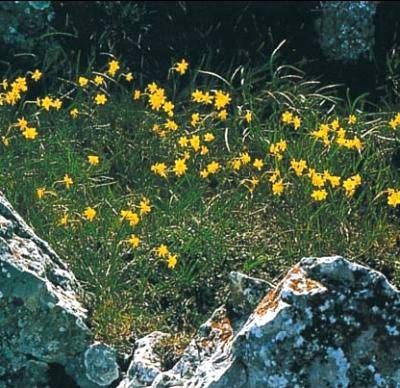 Анна Фельтина - Все об Испании