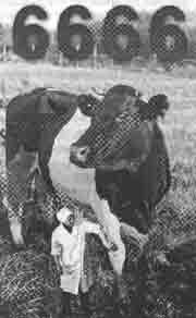 Эрнст Мулдашев - Трагическое послание древних