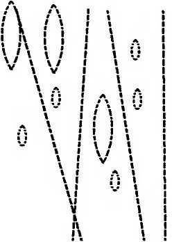 Леонард Сасскинд - Битва при черной дыре. Мое сражение со Стивеном Хокингом за...
