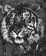 Эрнст Мулдашев - Трагическое послание древних