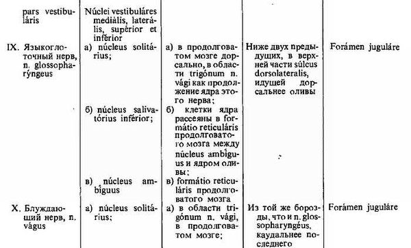 Михаил Привес, Николай Лысенков и др. - Анатомия человека