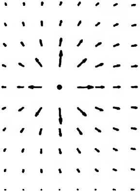 Леонард Сасскинд - Битва при черной дыре. Мое сражение со Стивеном Хокингом за...