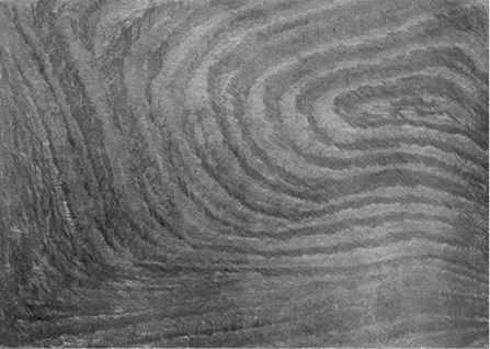 Михаил Ямпольский - Пригов. Очерки художественного номинализма