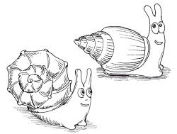 Наталья Дмитриева - Поделки из природных материалов