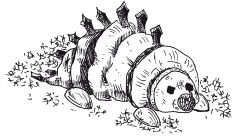 Поделки из природных материалов