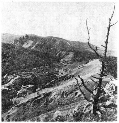 Михаил Величко - Маленькие путешествия вокруг большого города