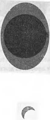 Леонард Сасскинд - Битва при черной дыре. Мое сражение со Стивеном Хокингом за...