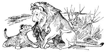 Бернгард Гржимек - Среди животных Африки