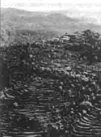 Эрнст Мулдашев - Трагическое послание древних