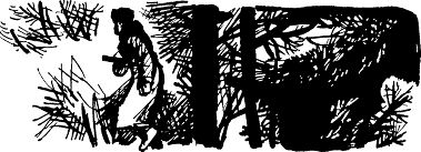 На фронте затишье...