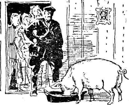 Николай Анов - Гибель Светлейшего