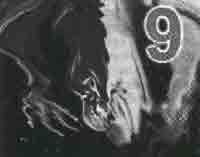 Эрнст Мулдашев - Трагическое послание древних