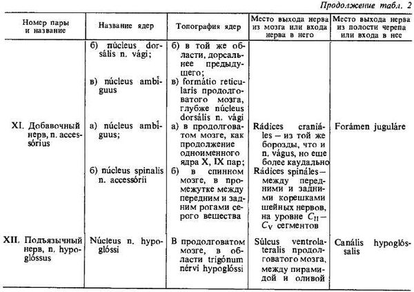 Михаил Привес, Николай Лысенков и др. - Анатомия человека