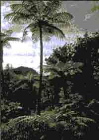 Эрнст Мулдашев - Трагическое послание древних