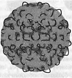 Леонард Сасскинд - Битва при черной дыре. Мое сражение со Стивеном Хокингом за...