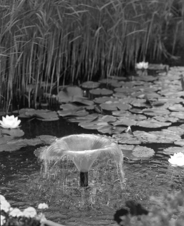 Валентина Назарова - Бассейны, пруды и фонтаны. Строительство, эксплуатация, ремонт