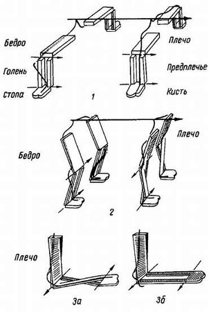 Михаил Привес, Николай Лысенков и др. - Анатомия человека
