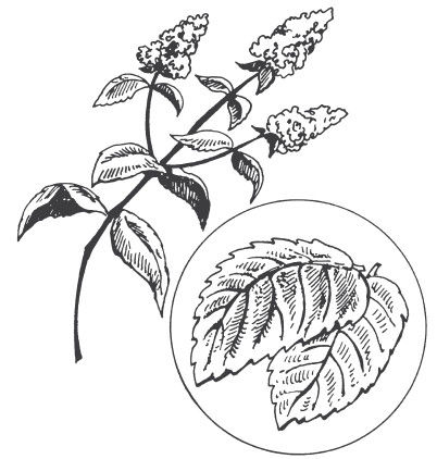 Ольга Романова - 150 ритуалов для привлечения денег