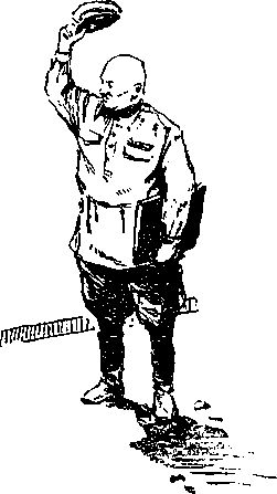 Владимир Немцов - Альтаир