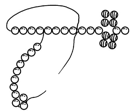 Светлана Хворостухина - Стильная бижутерия своими руками. Бусы, браслеты,...