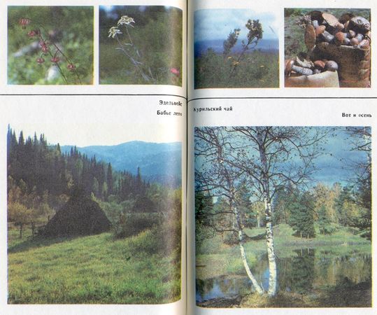 Михаил Величко - Маленькие путешествия вокруг большого города