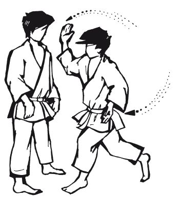 Андрей Григорьев - Боевое айкидо. Философия боя. Система обороны