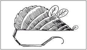 Наталья Дмитриева - Поделки из природных материалов