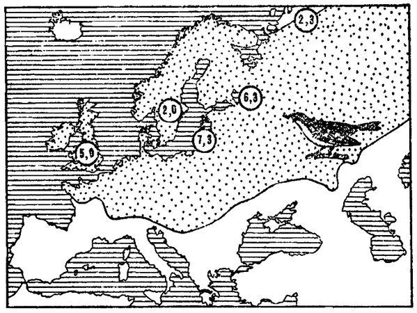 Леонид Соколов - Почему перелетные птицы возвращаются домой