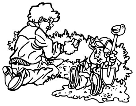 Анна Зорина - Изгороди и заборы своими руками