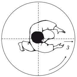 Андрей Григорьев - Боевое айкидо. Философия боя. Система обороны