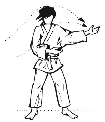 Андрей Григорьев - Боевое айкидо. Философия боя. Система обороны