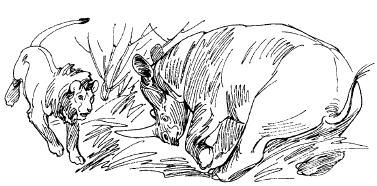 Бернгард Гржимек - Среди животных Африки