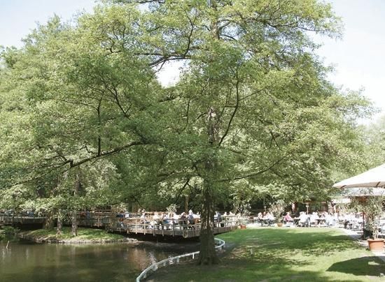 Р. Менх, М. Эккольт и др. - Берлин. Путеводитель