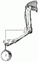 Яков Перельман - Занимательная физика. Книга 1