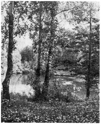 Михаил Величко - Маленькие путешествия вокруг большого города