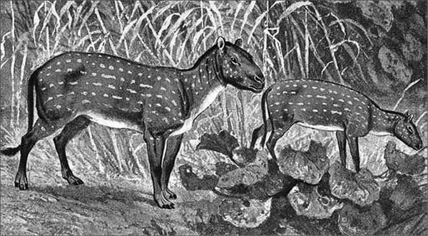 Николай Непомнящий - 100 великих тайн доисторического мира